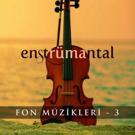 Album cover of Enstrümantal Fon Müzikleri - 3
