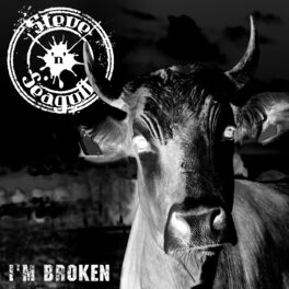 Album cover of I´m Broken