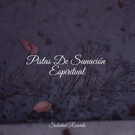 Album cover of Pistas De Sanación Espiritual