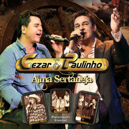 Album cover of Alma Sertaneja, Vol. 1 (Ao Vivo)
