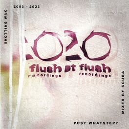 Album cover of Post Whatstep? - Hotflush 20 (DJ Mix)