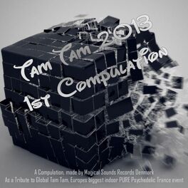 Album cover of Tam Tam 2013 Compulation