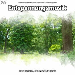 Album cover of #01 Entspannungsmusik zum Schlafen, Chillen und Nichtstun