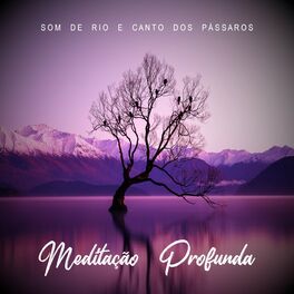 Album cover of Meditação Profunda - Som de Rio e Canto dos Pássaros