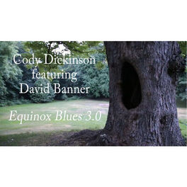 Album cover of Equinox Blues 3.0