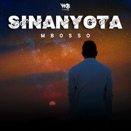 Album cover of Sina Nyota