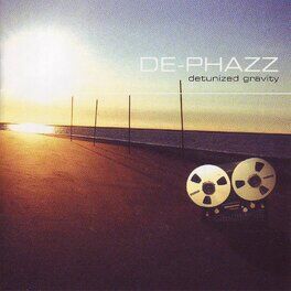 Album cover of Detunized Gravity