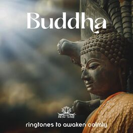 Album cover of Buddha to Awaken Calmly