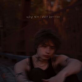 Album cover of why am i not better
