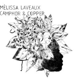 Album picture of Camphor & Copper (Bonus Track Version)