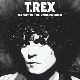 Album cover of Dandy in the Underworld (Super Deluxe Edition)