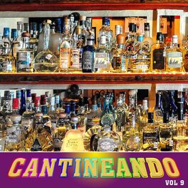 Album cover of Cantineando, Vol.9
