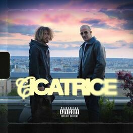 Album cover of Cicatrice