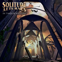 Album cover of In Times Of Solitude
