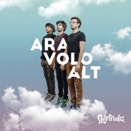 Album cover of Ara Volo Alt