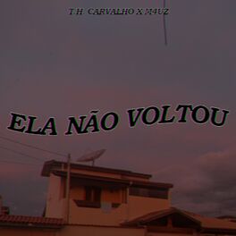 Album cover of Ela Não Voltou