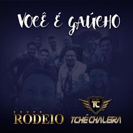 Album cover of Você É Gaúcho