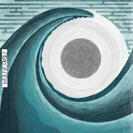 Album cover of blau vs grau