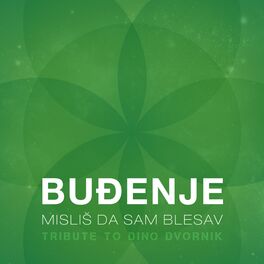 Album cover of MISLIŠ DA SAM BLESAV