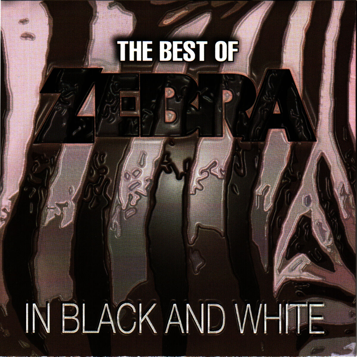 BABY BOOK | Black and buy White Zebra Album