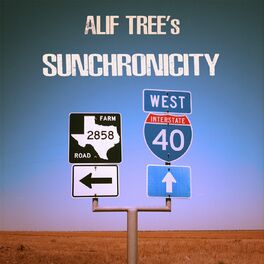 Album cover of Sunchronicity