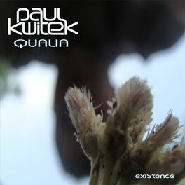 Album cover of Qualia