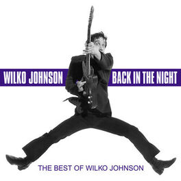 Album cover of Back in the Night - The Best Of