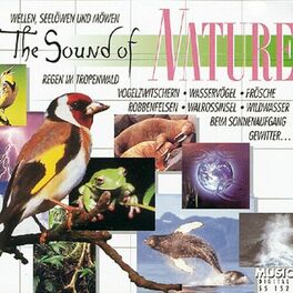 Album cover of The Sound Of Nature