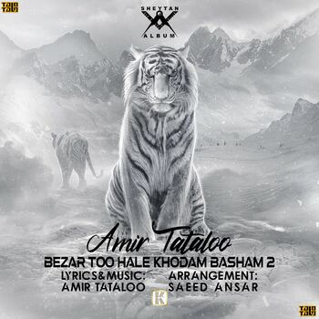 Amir Tataloo Bezar Too Hale Khodam Basham 2 Listen With Lyrics Deezer