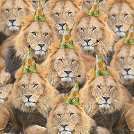 Album cover of Party Lions