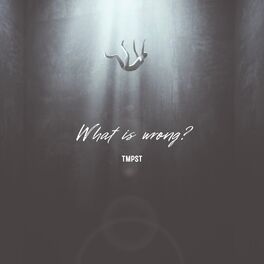 Album cover of What is Wrong?