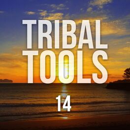Album cover of Tribal Tools, Vol. 14
