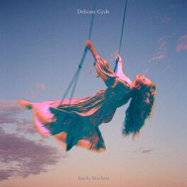 Album cover of Delicate Cycle