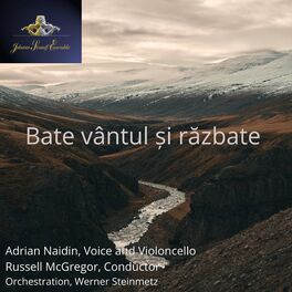 Album cover of Bate Vantul si Razbate (feat. Adrian Nadine)