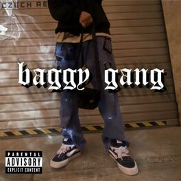 Album cover of baggy gang (feat. Danko & sessionisfooly)