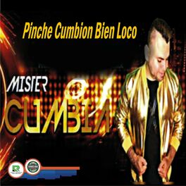 Album cover of Pinche Cumbion Bien Loco