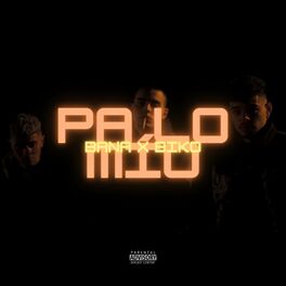 Album cover of Pa Lo Mio (feat. Biko)