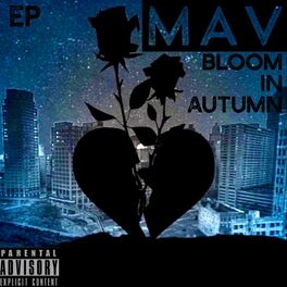 Album cover of Bloom in Autumn
