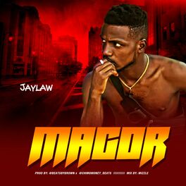 Album cover of Magor
