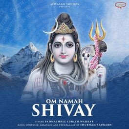 Album cover of Om Namah Shivay