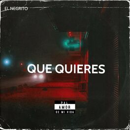 Album cover of que quieres