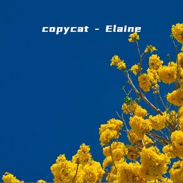 Album cover of copycat