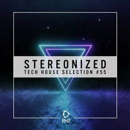 Album cover of Stereonized: Tech House Selection, Vol. 55
