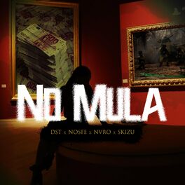 Album cover of No Mula (feat. DST, Nosfe & NVRO) [Remix]