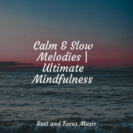 Album cover of Calm & Slow Melodies | Ultimate Mindfulness