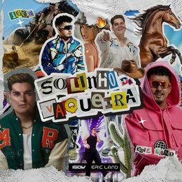 Album cover of Solinho Da Vaqueira
