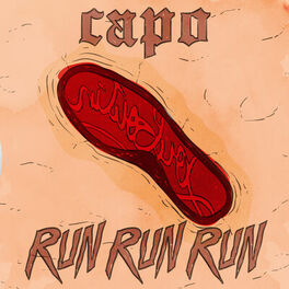Album cover of Run Run Run