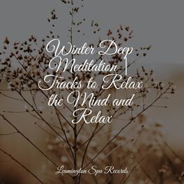 Album cover of Winter Deep Meditation | Tracks to Relax the Mind and Relax