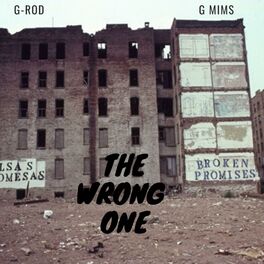 Album cover of The Wrong One