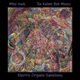Album cover of Electric Organic Symphony